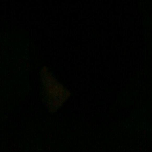 Meet your Posher, Lareina - Picture 1 of 1